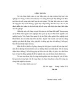 Đánh giá tác động dự án phát triển ngành lâm nghiệp (hợp phần trồng rừng sản xuất) tại huyện vân canh tỉnh bình định 