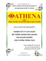 nghiên cứu và xây dựng hệ thống marketing online cho doanh nghiệp thực phẩm thông thái 