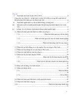 Phân tích tài chính doanh nghiệp công ty cổ phần tập đoàn mai linh miền bắc 