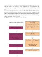 Quy trình đánh giá và thực hiện công tac tuyển dụng 