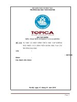 tự học là một hình thức học tập không thể thiếu của sinh viên đang học tại các trường đại học 