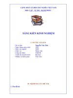 SKKN một số biện pháp nâng cao chất lượng hoạt động thư viện ở trường tiểu học 