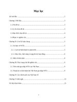 tổng quan về WTO và một số thuận lợi và khó khăn khi việt nam gia nhập WTO 