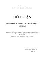 tiểu luận lý thuyết bất động sản chương 13 