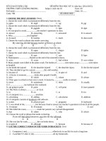 de thi mon tieng anh lop 10 hoc ky i nam hoc 2014 2015 