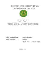 báo cáo thực hành an toàn thực phẩm bài 1 xác định dư lượng no3  trên rau 