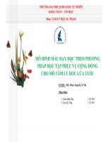 mô hình mẫu dạy học theo phương pháp học tập phục vụ cộng đồng cho mô tâm lý học lứa tuổi 