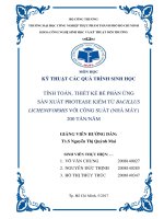 tính toán, thiết kế bể phản ứng sản xuất protease kiềm từ bacillus licheniformis với công suất (nhà máy) 200 tấn năm 