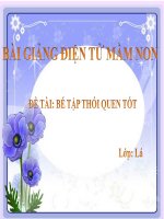 Bài giảng điện tử mầm non đề tài Bé tập thói quen tốt (lớp Lá)