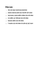 nội dung, quan điểm chính của mô hình cất cánh 