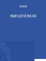 bài giảng pháp luật về phá sản 