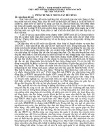 KINH NGHIỆM CHỈ đạo THỰC HIỆN CHƯƠNG TRÌNH GIÁO dục mầm NON MỚIBẬC học mầm NON 