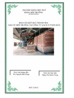 báo cáo kết quả thanh tra bảo vệ môi trường tại công ty gạch tuynen huế 