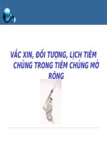 VẮC XIN, ĐỐI TƯỢNG, LỊCH TIÊM CHỦNG TRONG TIÊM CHỦNG MỞ RỘNG