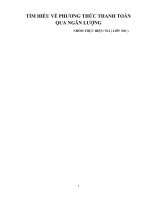 tìm hiểu về phương thức thanh toán qua ngân lượng 