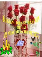 Bài giảng điện tử mầm non đề tài Âm nhạc múa cho mẹ xem (lớp Lá)