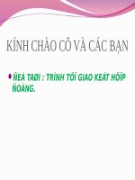 trình tự giao kết hợp đồng 