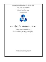 BÀI tập lớn môn GIẢI TÍCH 2 
