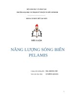 nãng lượng sóng biển palemis 