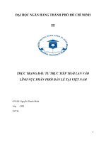 thực trạng đầu tư trực tiếp thái lan vào lĩnh vực phân phối bán lẻ tại việt nam 