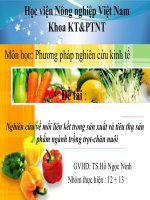 Nghiên cứu về mối liên kết trong sản xuất và tiêu thụ sản phẩm ngành trồng trọt chăn nuôi 