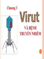 BÀI GIẢNG Virut VÀ BỆNH TRUYỀN NHIỄM