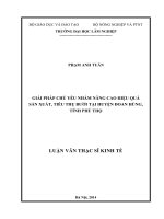Giải pháp chủ yếu nhằm nâng cao hiệu quả sản xuất, tiêu thụ bưởi tại huyện đoan hùng, tỉnh phú thọ 