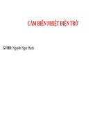 CẢM BIẾN NHIỆT điện TRỞ 