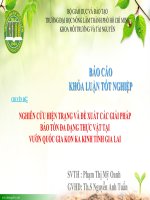 nghiên cứu hiện trạng và đề xuất các giải pháp bảo tồn đa dạng thực vật tại vườn quốc gia kon ka kinh tỉnh gia lai 