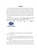 Hoạt động đánh giá thực hiện công việc tại đơn vị đang công tác là tổng công ty viglacera