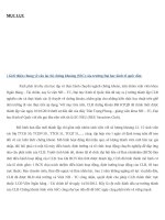 cơ cấu tổ chức clb chứng khóan sinh viên ssc 