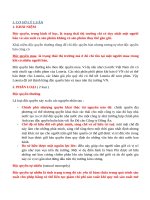 độc quyền điện ở việt nam 