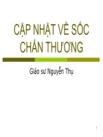 BÀI GIẢNG CẬP NHẬT VỀ SỐC CHẤN THƯƠNG