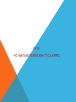 mô hình tăng trưởng kinh tế của k marx 