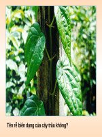 Câu hỏi thi môn sinh học 