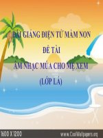 Bài giảng điện tử mầm non đề tài Âm nhạc múa cho mẹ xem (lớp Lá)