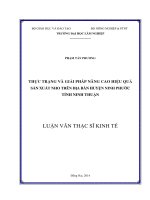 Thực trạng và giải pháp nâng cao hiệu quả sản xuất nho trên địa bàn huyện ninh phước tỉnh ninh thuận 