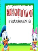 Bài giảng điện tử mầm non đề tài Các ngành nghề phổ biến (lớp Lá)