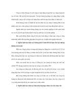 Đánh giá nguồn nhân lực tại công ty solar energy 