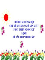 Bài giảng lớp Chồi chủ đề: Nghề nghiệp