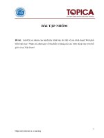 Anh Chị và nhóm của mình hãy trình bày chi tiết về các trình duyệt web phổ biến hiện nay nhận xét, đánh giá về thị phần sử dụng của các trình duyệt này trên thế giới và tại việt nam