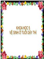 BÀI GIẢNG VỆ SINH Ở TUỔI DẬY THÌ