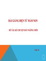 Bài giảng điện từ mầm non đề tài Kể chuyện Đàn ngỗng trời (lớp Lá)