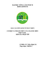 cơ hội và thách thức của ngành điều việt nam khi gia nhập tpp 