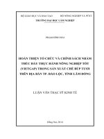 Hoàn thiện tổ chức và chính sách nhằm thúc đẩy thực hành nông nghiệp tốt (VIETGAP) trong sản xuất chè búp tươi trên địa bàn TP  bảo lộc, tỉnh lâm đồng 
