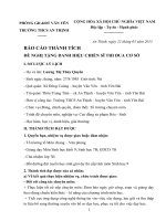 Mẫu chiến sĩ thi đua cơ sở 