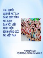 Giải Quyết Vấn Đề Mất Cân Bằng Giới Tính Khi Sinh Gắn Với Việc Thực Hiện Bình Đẳng Giới Tại Việt Nam - 21.4