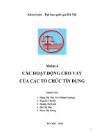 tìm hiểu và nghiên cứu các hình thức cho vay của các tổ chức tín dụng  