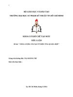 năng lượng tái tạo từ hiệu ứng quang hợp 