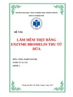 làm mềm thịt bằng enzyme bromelin thu từ dứa 